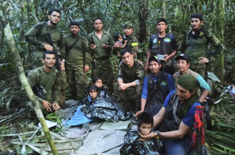 A group of people in the jungle