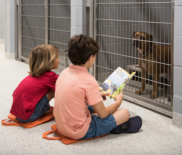 Two children reading a book to a dog in a kennel