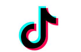 The TikTok Logo