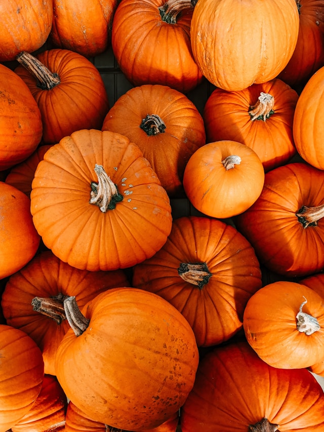 A lot of pumpkins